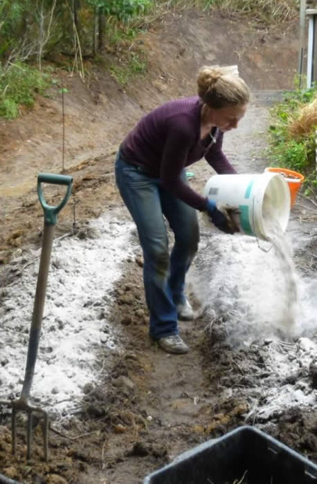 Mary Kathleen spreading lime in the garden