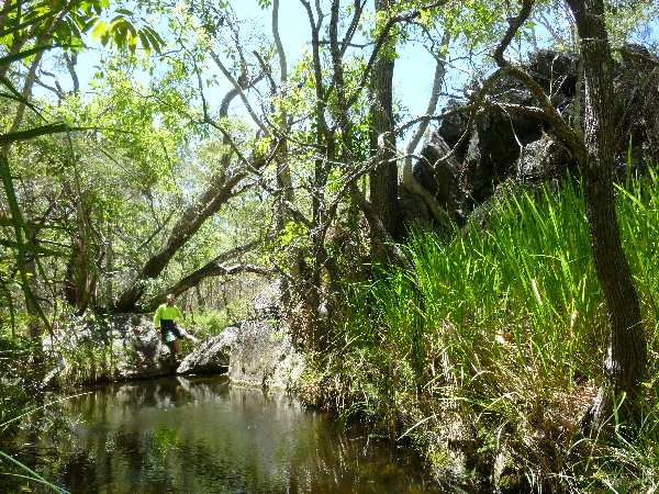 Permanent waterhole on Ada creek